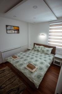 Apartman Vesna