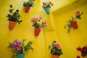 Eva Recommends Alameda Sevilla