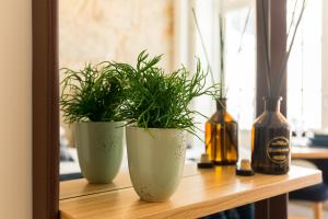 In Between Exclusive Charm Apartment by the center