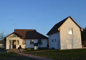 SynytsVille - Borodany