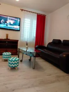 Apartament Radość - Modrzewina