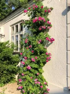 Borregården - Grindstugan - Löderup