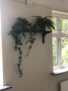 Borregården - Grindstugan