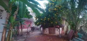 Thiru Nakshatra Family Guest House - Pāchchal