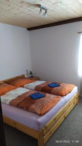 Apartmán Pod Žalým