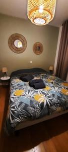 Appartements Appartement Centre ville proche gare : photos des chambres