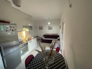 Cv apartment - Ivovići