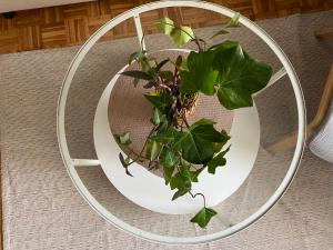 Puerta al cielo Suite