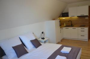 Deluxe Apartment room in Villa Tatran
