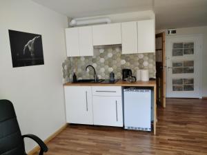 Apartament nad strumykiem Lądek-Zdrój