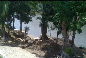 LA FLORESTA ISLA DEL SoL