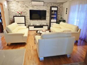 Apartment in Jasenice 42083