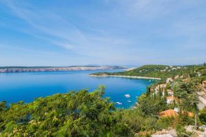 Apartment in Jadranovo 42264