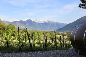 莎富 - 法斯迈恩费尔德住宿加早餐旅馆 - 巴尔采斯