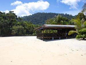 BUSHMAN TIOMAN