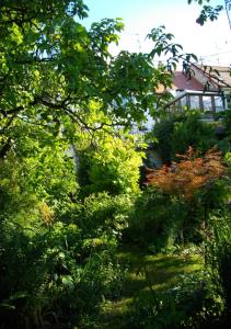 Appartements au-dessus du jardin appartement climatise : photos des chambres