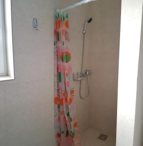 Apartament 5 Budiu