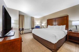 King Room - Non-Smoking room in Comfort Inn & Suites Sidney I-80
