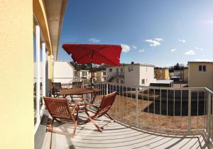 Möwengruß an der Ostsee