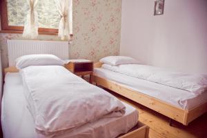 Quadruple Room with Shared Bathroom room in Pension Cabana Cetatile Ponorului
