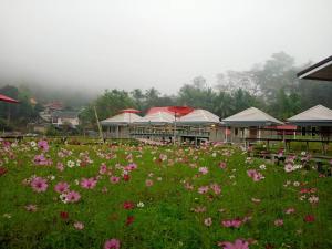 Jeerang Countryside Resort