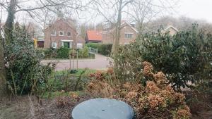 Klinket Zoutelande