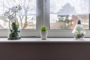 Appartements studio Le relax : photos des chambres