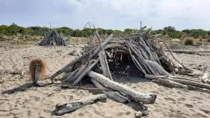 A casa di Laura - Formica III