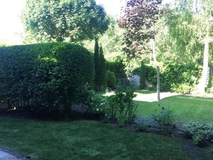 Madarhegy Apartment with garden Buda side