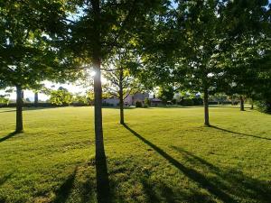 "encantea" lovely country house