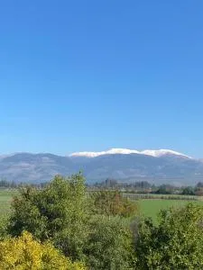 The Roof - 谢莫纳城