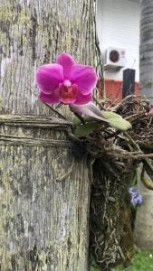 Janela de Marcia Bed and Breakfast