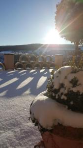 die alte schule-studio