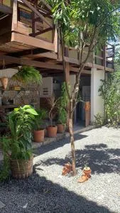 pousada Guadalupe - Пітімбу