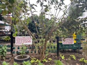 The Family Farm Stay