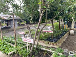 The Family Farm Stay