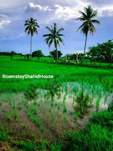 ROOMSTAY SHAHID HOUZE