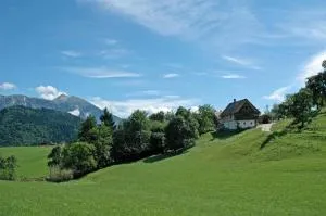 Apartment Sonca - Radovna