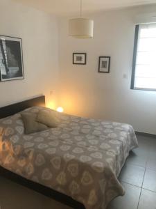 Appartement les pieds dans leau 3 Chambres - Propriano - Corse