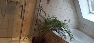 Ferienhaus Fabich Ganzes Haus