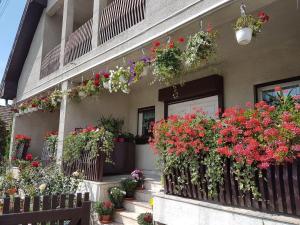 Antal Apartmans Lunca de Sus Kulcsosház Gyimesfelsőlok