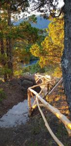 Bajo la Cruz del Sur - Conguillio