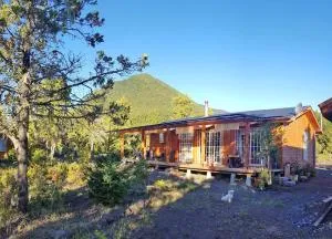 Bajo la Cruz del Sur - Conguillio - 孔吉利奥