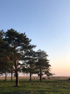 Modern one bedroom flat with sunset views, self check-in