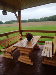 Domki całoroczne DŁUGOSZÓWKA pod Rzeszowem, Jacuzzi-Sauna-Basen-Alpaki