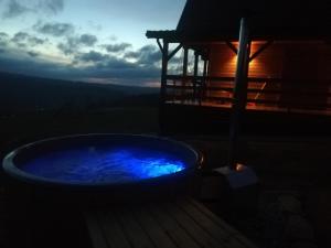 Domki całoroczne DŁUGOSZÓWKA pod Rzeszowem, Jacuzzi-Sauna-Basen-Alpaki