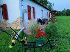 Tiszai Fenyves Apartman