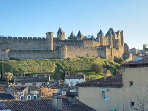 B&B / Chambres d'hotes Demeure Saint Louis Historic manor, City 700m, parking,A C,Clim,WIFI, heated pool, city view : photos des chambres