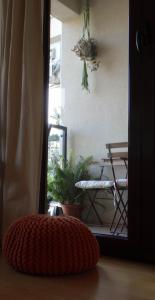 IB Apartment Budva