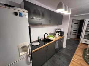 Kościuszki Apartament Kościuszki 1